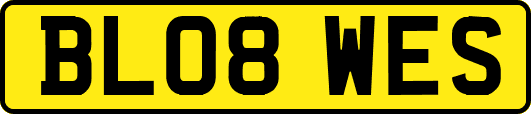 BL08WES