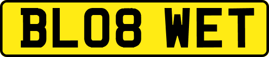BL08WET