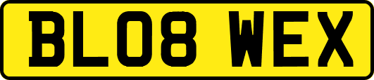 BL08WEX