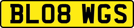 BL08WGS