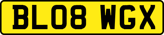 BL08WGX