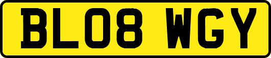 BL08WGY