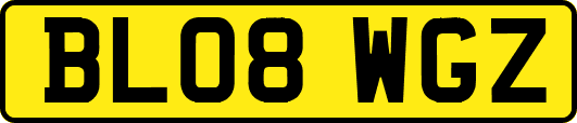 BL08WGZ