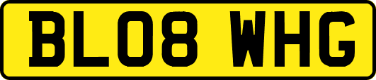 BL08WHG