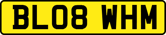 BL08WHM
