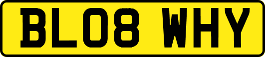 BL08WHY