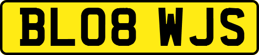 BL08WJS