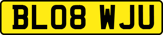 BL08WJU