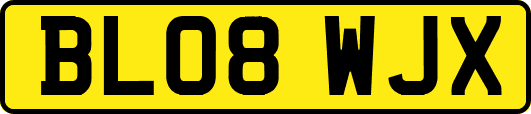 BL08WJX