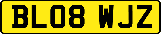 BL08WJZ