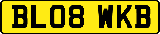 BL08WKB