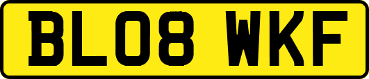 BL08WKF