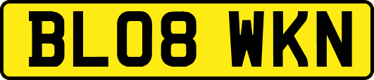 BL08WKN