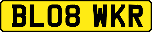 BL08WKR