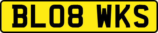 BL08WKS