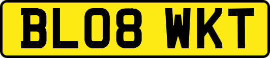 BL08WKT