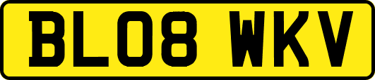 BL08WKV