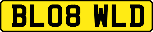 BL08WLD