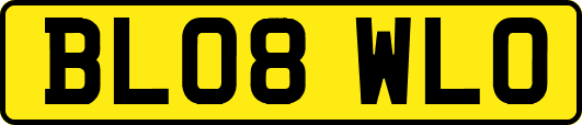 BL08WLO