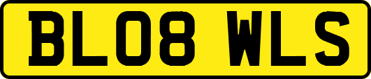BL08WLS