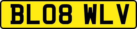 BL08WLV