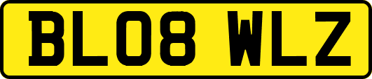 BL08WLZ