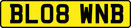 BL08WNB
