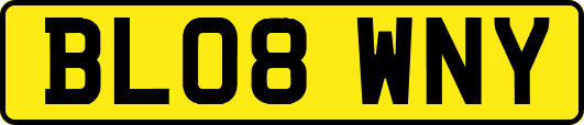 BL08WNY
