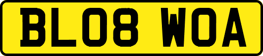BL08WOA