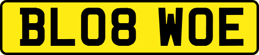 BL08WOE