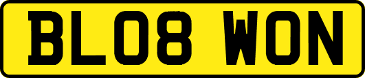 BL08WON