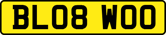 BL08WOO