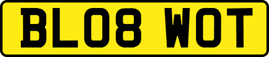 BL08WOT