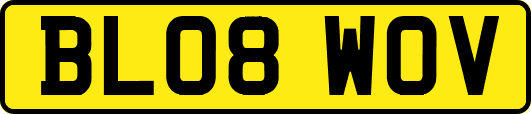 BL08WOV