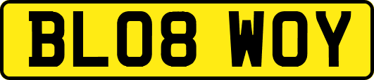BL08WOY