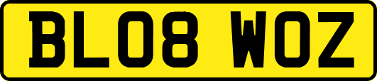 BL08WOZ