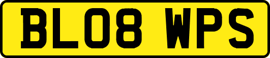 BL08WPS