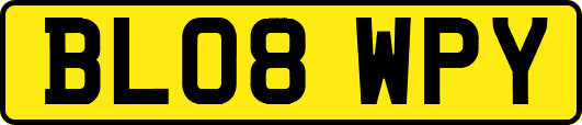 BL08WPY