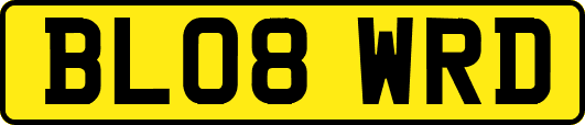 BL08WRD