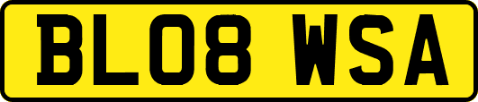 BL08WSA
