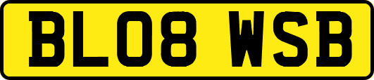 BL08WSB