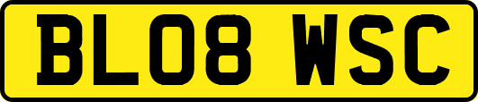 BL08WSC