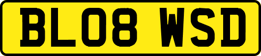BL08WSD