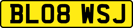 BL08WSJ