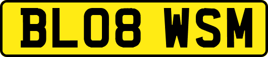 BL08WSM