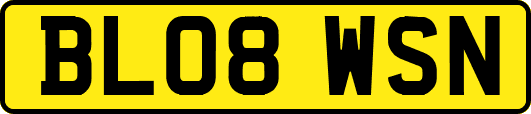 BL08WSN