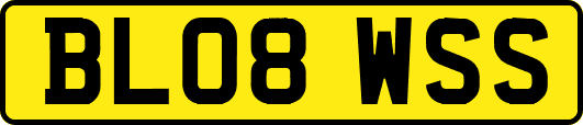 BL08WSS