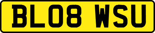 BL08WSU