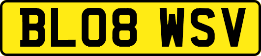 BL08WSV