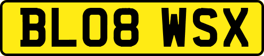 BL08WSX